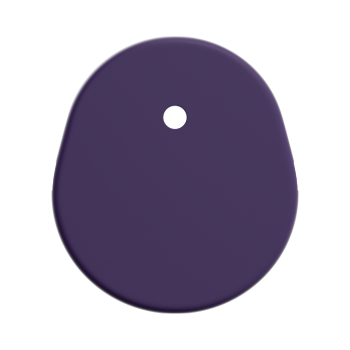 Purple Everyday Shell